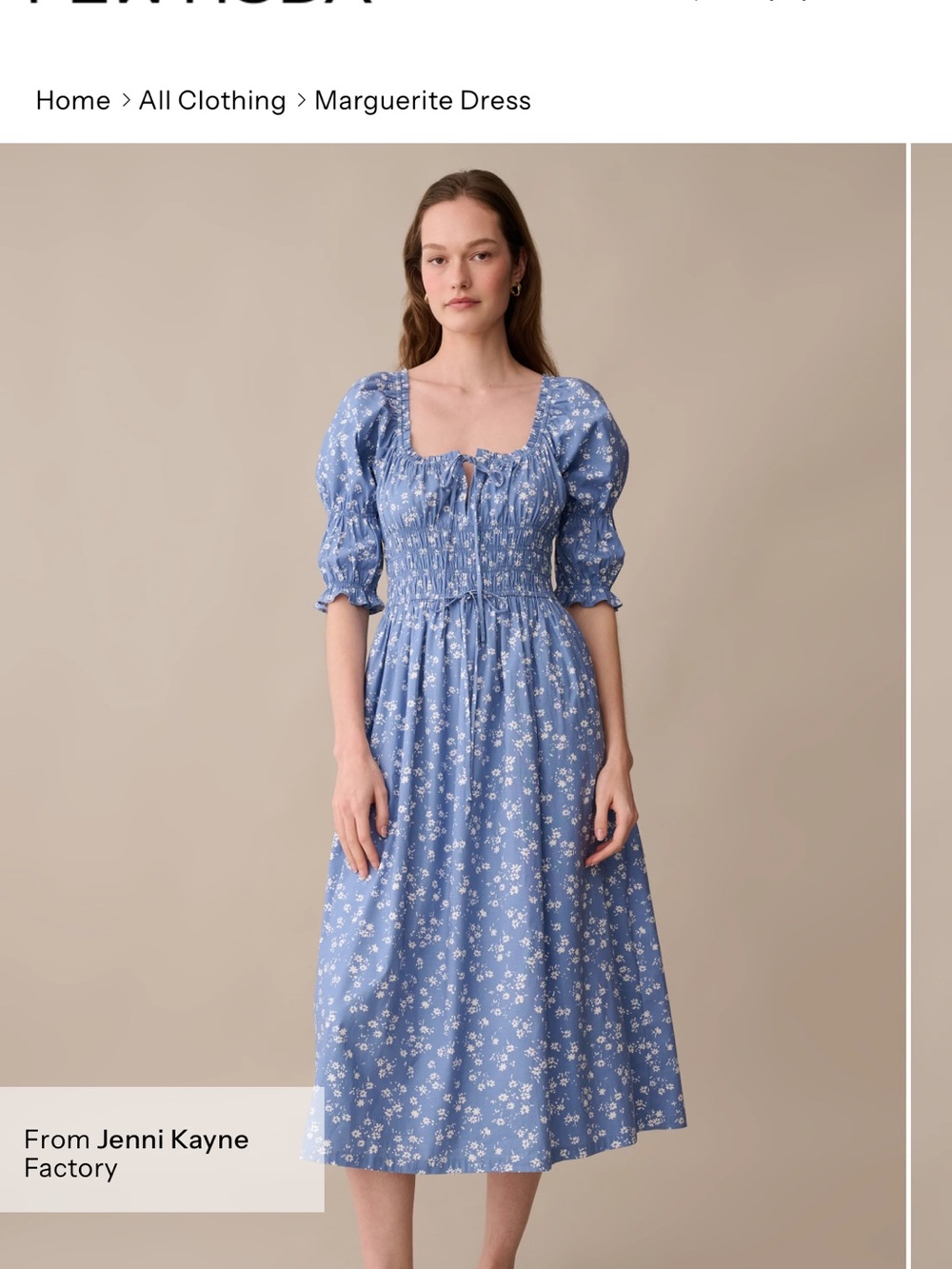 Jenni Kayne Light Blue Floral Puff-Sleeve Midi Dress